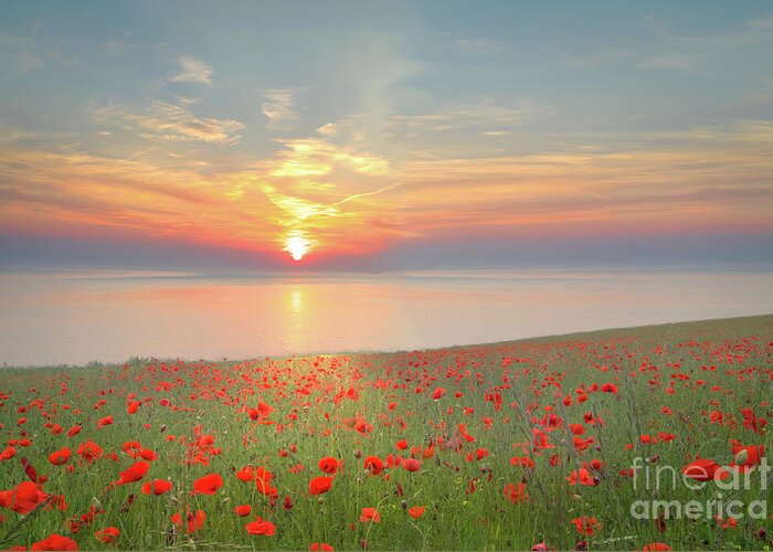 Poppy Field Greeting Card featuring the photograph Yorkshire Coast Poppy Field by Alison Chambers