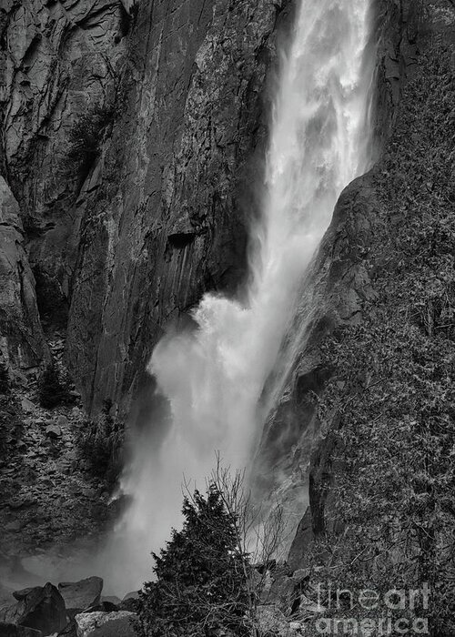 Yosemite Greeting Card featuring the photograph Yosemite Falls BW by Chuck Kuhn