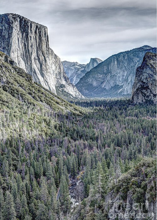 Yosemite Valley And El Capitan From Tunnel View Greeting Card featuring the photograph Yosemite Valley with El Capitan and Half Dome from Tunnel View by Dustin K Ryan