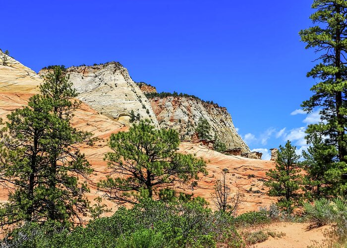 Canyons Greeting Card featuring the photograph Zion National Park Mountains 1 by Dawn Richards
