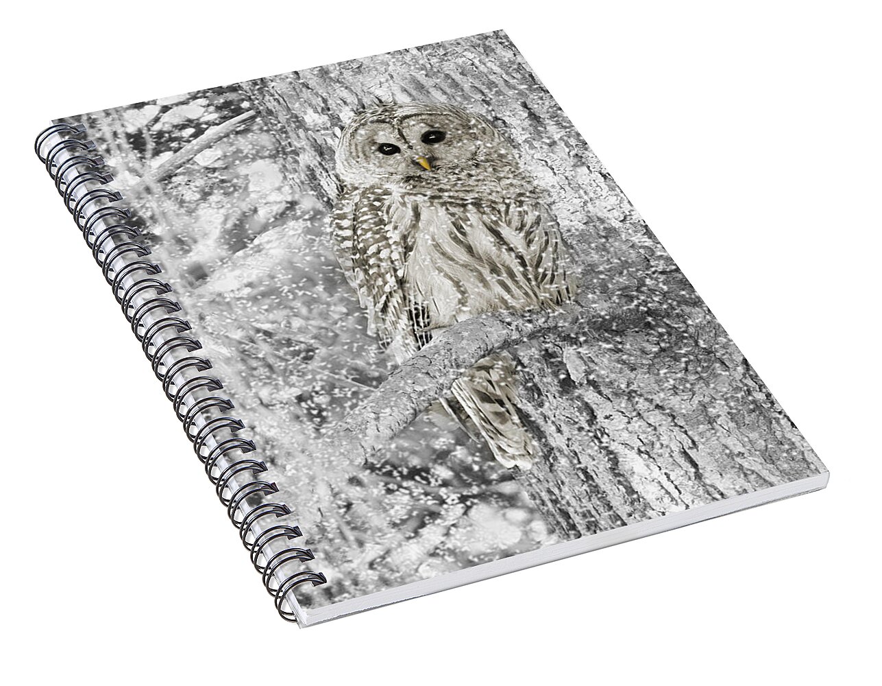 Barred Owl Snowy Day in the Forest Spiral Notebook for Sale by Jennie ...