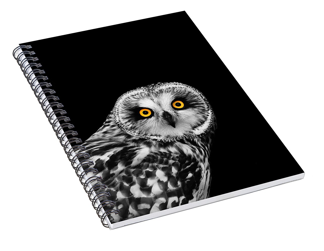 Short-Eared Owl Spiral Notebook for Sale by Mark Rogan