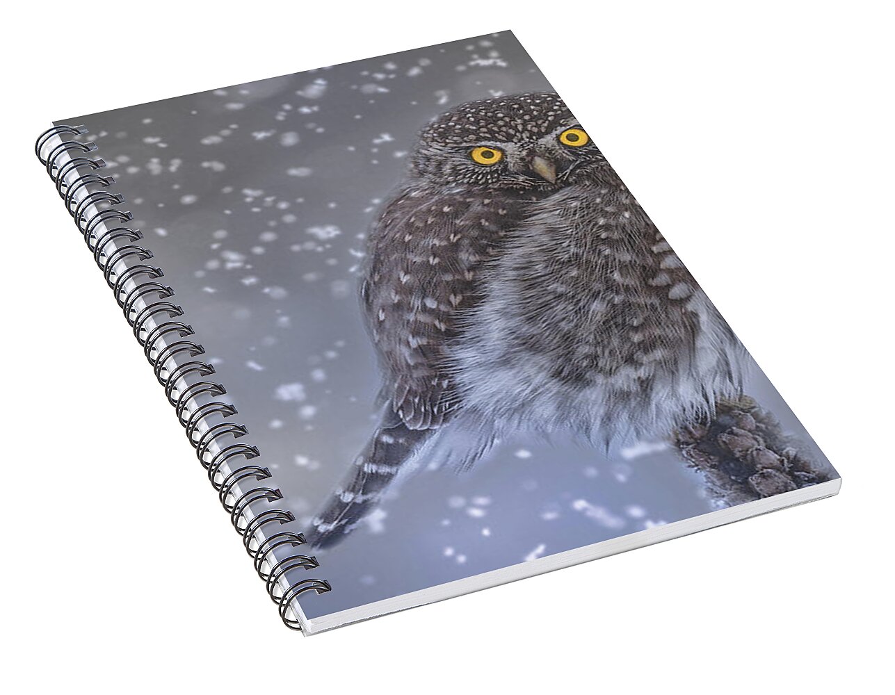 Night Owl Spiral Notebook for Sale by Joy McAdams