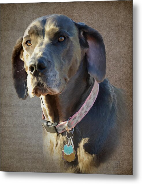 Dog Metal Print featuring the photograph Lucy by Jean Moore