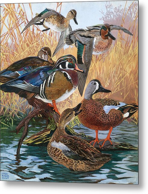 Outdoor Metal Print featuring the painting Wood Ducks by Lynn Bogue Hunt