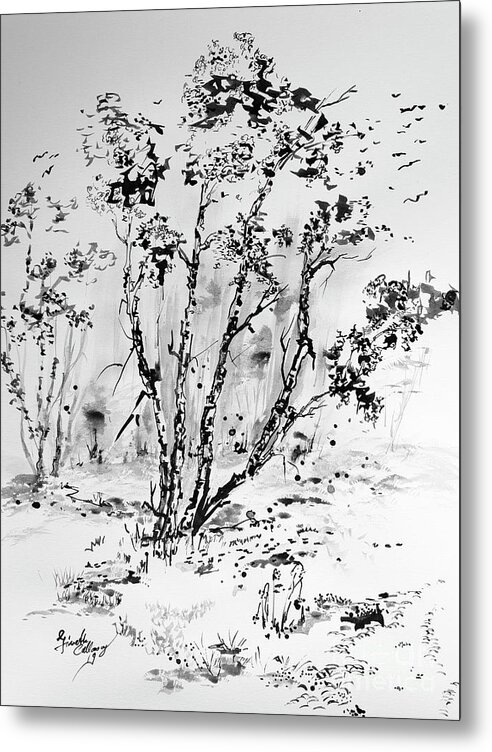 Trees Drawings Metal Print featuring the drawing Birch Trees Black Ink Drawing by Ginette Callaway