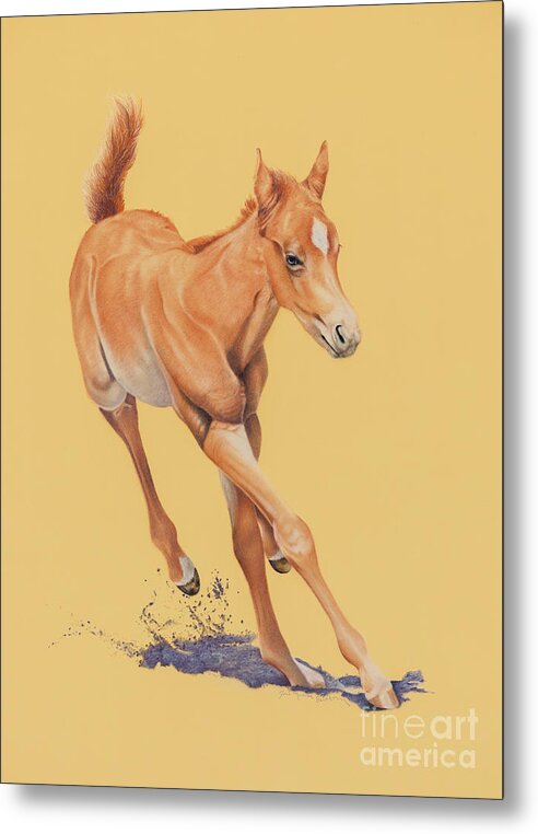 Filly Metal Print featuring the pastel Buckin a Quarter by Joni Beinborn