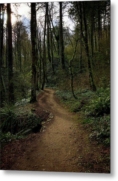 Plants Metal Print featuring the photograph Forest Path by Mark David Gerson