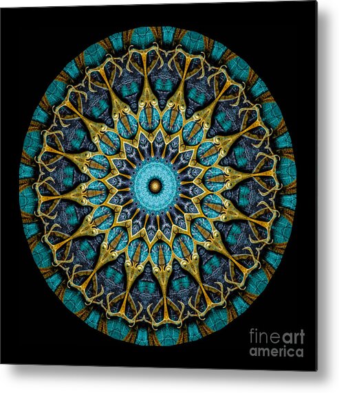 Fantasy Metal Print featuring the photograph Kaleidoscope Steampunk Series #1 by Amy Cicconi