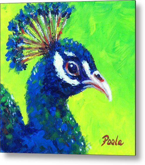 Peacock Metal Print featuring the painting Peacock Portrait by Pamela Poole