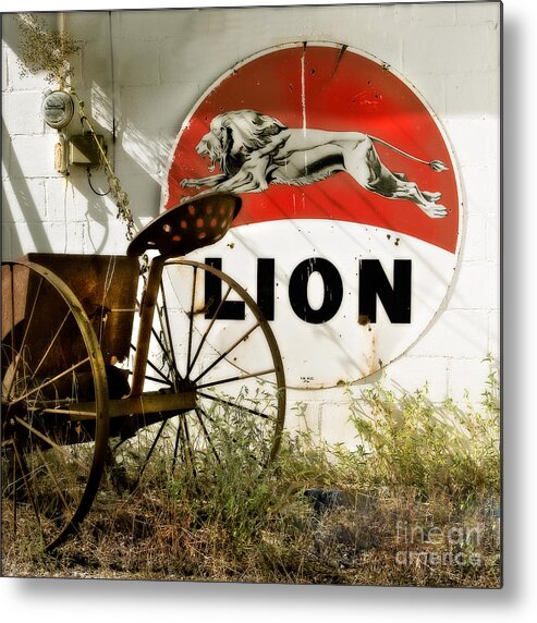 Lion Oil Metal Print featuring the photograph The Lion and the Chariot by T Lowry Wilson