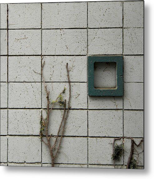 Cinder Block Metal Print featuring the photograph Vinetastic by Lee Harland