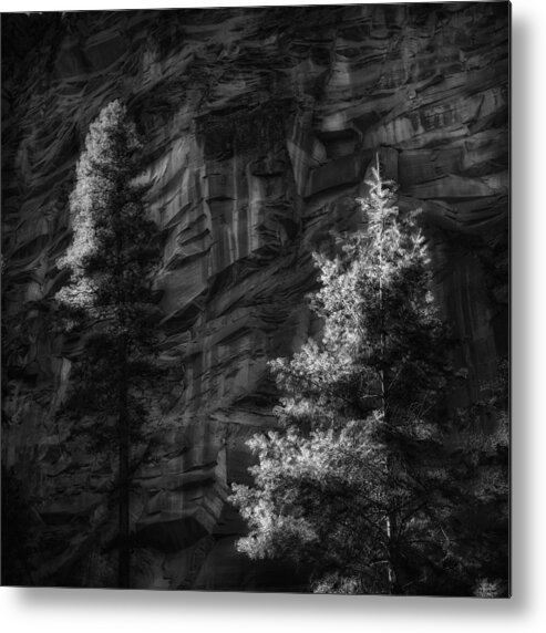 Landscape Metal Print featuring the photograph West Fork Rock Face Number Three Black and White by Bob Coates