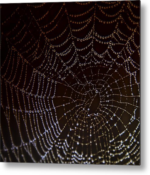 Web Metal Print featuring the photograph The Web by Kate Hannon