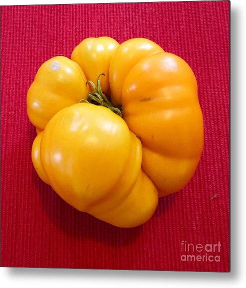 Tomatoe Metal Print featuring the photograph Tomatoe #1 by Suzanne Lorenz