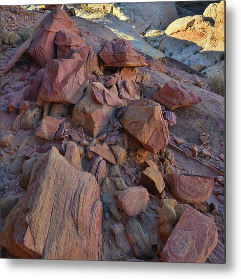 Valley Of Fire State Park Metal Print featuring the photograph Golden Domes of Valley of Fire by Ray Mathis