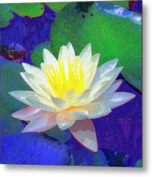 Lotus Grace Metal Print featuring the painting Lotus Grace by Dominic Piperata