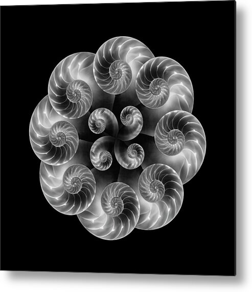 Nautilus Metal Print featuring the photograph Nautilus Abstract Art by Tom Mc Nemar