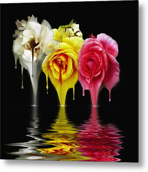 Flowers. Roses Metal Print featuring the digital art Tears of Roses by Gordon Engebretson