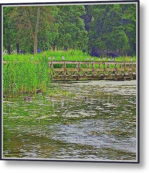 Pond Metal Print featuring the digital art Waiting by Lessandra Grimley