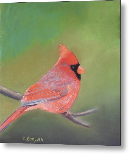 Red Metal Print featuring the pastel Bonded Pair - Male Cardinal by Carol Corliss