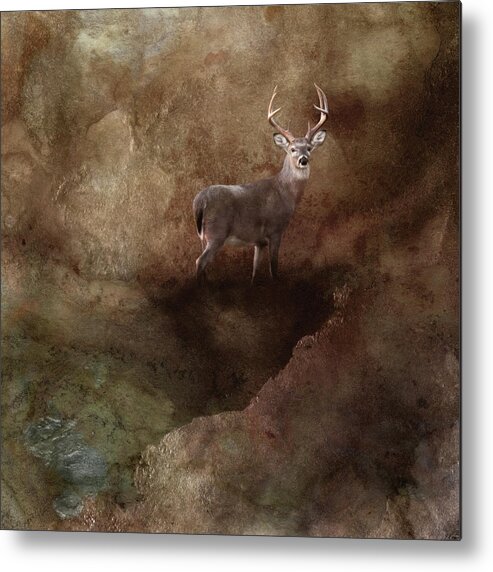 Deer Metal Print featuring the photograph Natural Wonder by Jai Johnson