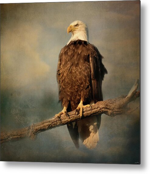 Bald Eagle Metal Print featuring the photograph Sky Master by Jai Johnson
