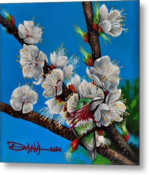 Birds Metal Print featuring the painting Calliope on Plum Blossoms by Dana Newman