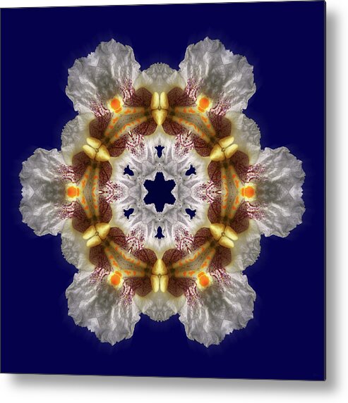 Catalpa Metal Print featuring the photograph Catalpa Blossom Snowflake - kaleidoscope view of catalpa blosssom closup by Peter Herman