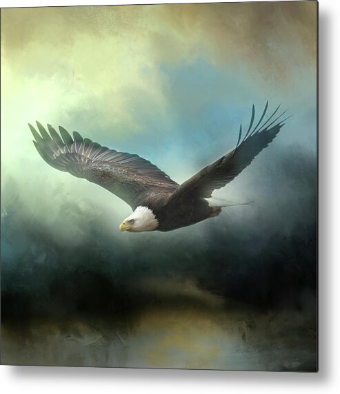 Bald Eagle Metal Print featuring the photograph Mission Accomplished by Jai Johnson