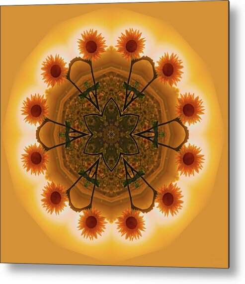 Sunflower Metal Print featuring the photograph Sunflower Mandala #2 - kaleidoscopic view of sunflower by Peter Herman