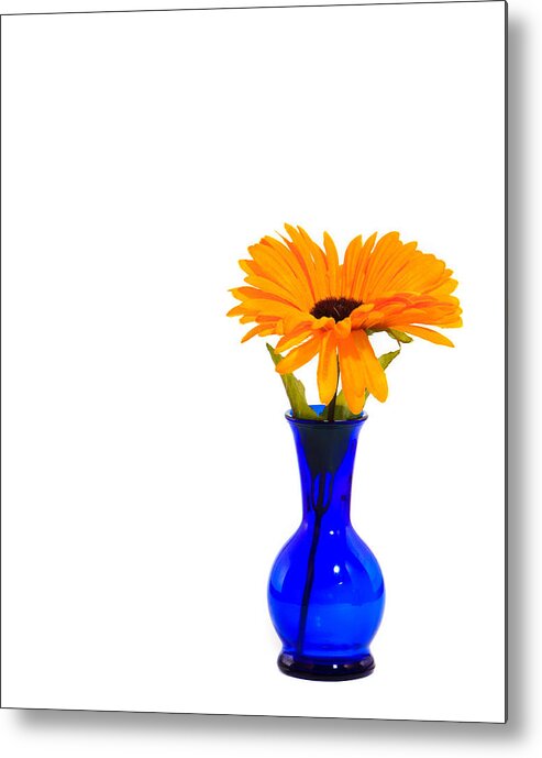Vase Metal Print featuring the photograph Blue Vase by Cecil Fuselier