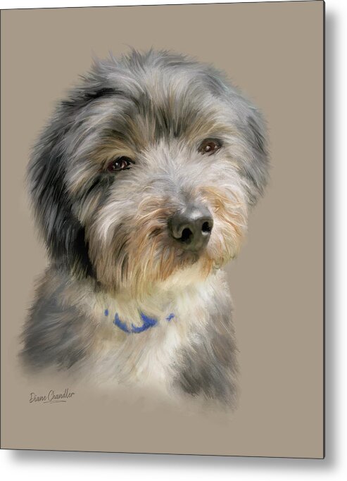 Puppy Metal Print featuring the digital art Havanese Puppy by Diane Chandler