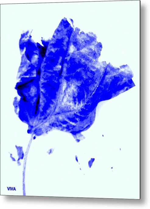 Rose Metal Print featuring the photograph Mme Is Blue by VIVA Anderson