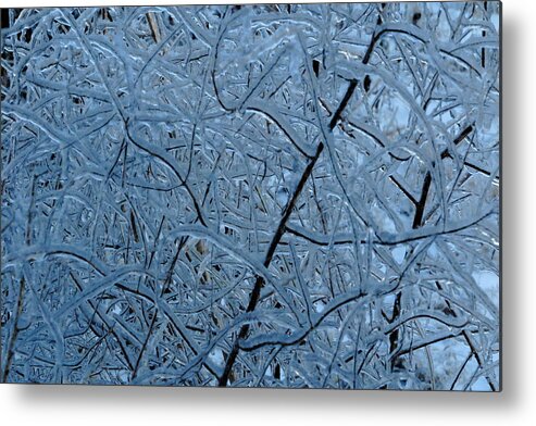 Ice Metal Print featuring the photograph Vegetation After Ice Storm by Daniel Reed
