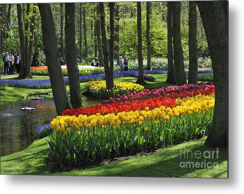 Colourful Metal Print featuring the photograph 090416p038 by Arterra Picture Library