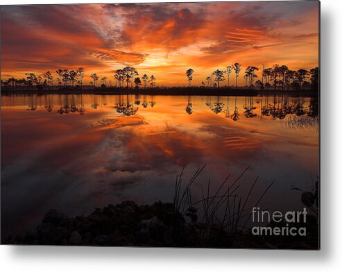 Photography Metal Print featuring the photograph A New Day Dawning #1 by Jane Axman