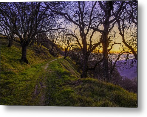 Alamo Metal Print featuring the photograph Alamo Hills #1 by Don Hoekwater Photography