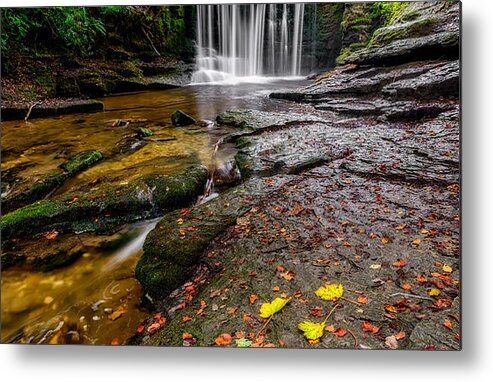 Llyn Geirionydd Metal Print featuring the photograph Autumn Leaves #1 by Adrian Evans