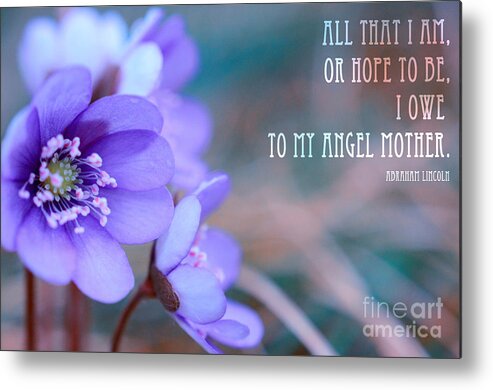 Flowers Metal Print featuring the photograph Blue Springtime Flowers Mother's Day #1 by Sabine Jacobs