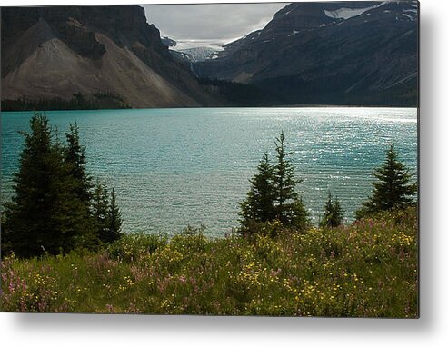 Bow Lake Metal Print featuring the photograph 1010A Bow Lake Alberta by NightVisions