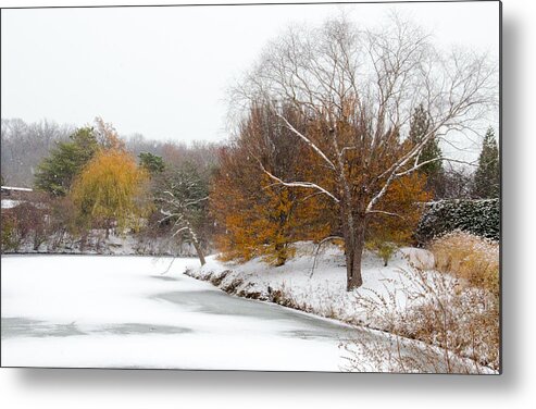 Winter Metal Print featuring the photograph Colors of Winter #1 by Julie Palencia
