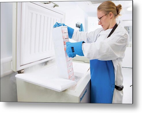 Equipment Metal Print featuring the photograph Cryopreservation In Stem Cell Research #1 by Lewis Houghton/science Photo Library