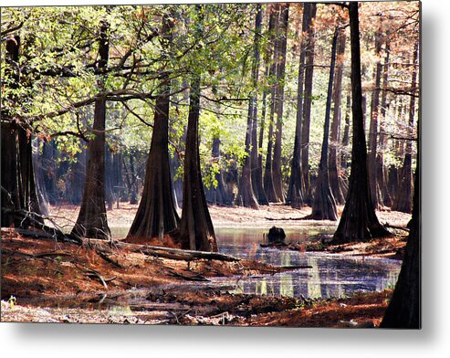 Autumn Metal Print featuring the photograph Cypress Bend #2 by Lana Trussell