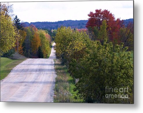 Dirt Metal Print featuring the photograph Dirt Road #1 by Bill Richards