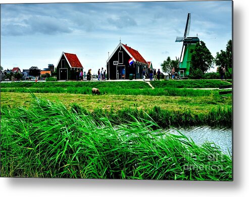 Dutch Metal Print featuring the photograph Dutch Village Farm by Joe Ng