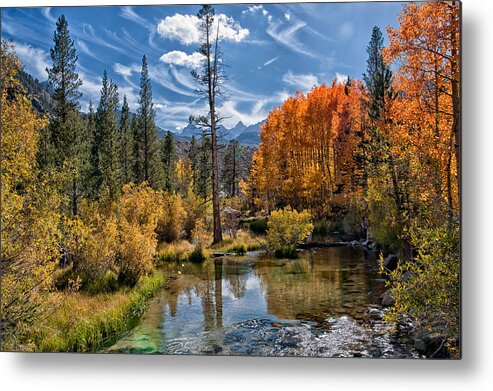 Mountains Metal Print featuring the photograph Fall at Bishop Creek #1 by Cat Connor