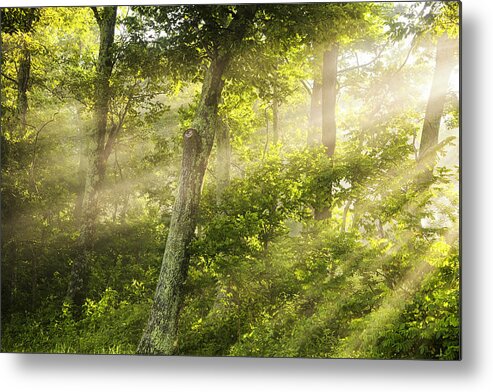 Light Metal Print featuring the photograph First Light by Andrew Soundarajan