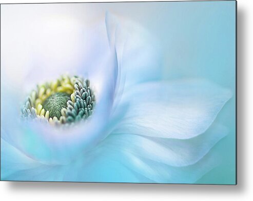 Anemone Metal Print featuring the photograph Flow #1 by Jacky Parker