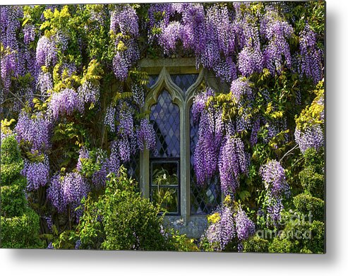 Anniversary Metal Print featuring the photograph In Bloom #1 by Svetlana Sewell